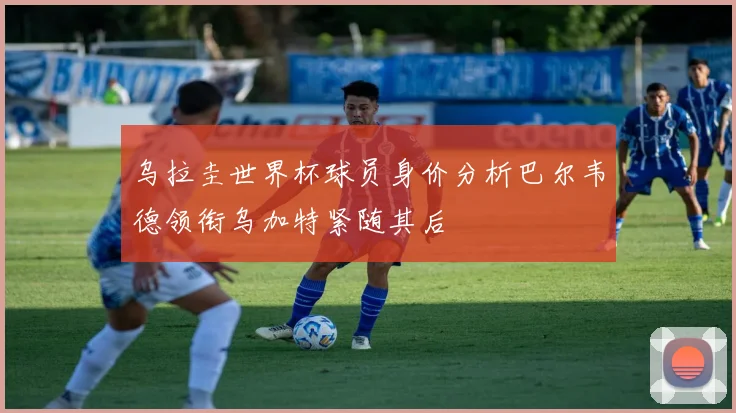 乌拉圭世界杯球员身价分析巴尔韦德领衔乌加特紧随其后