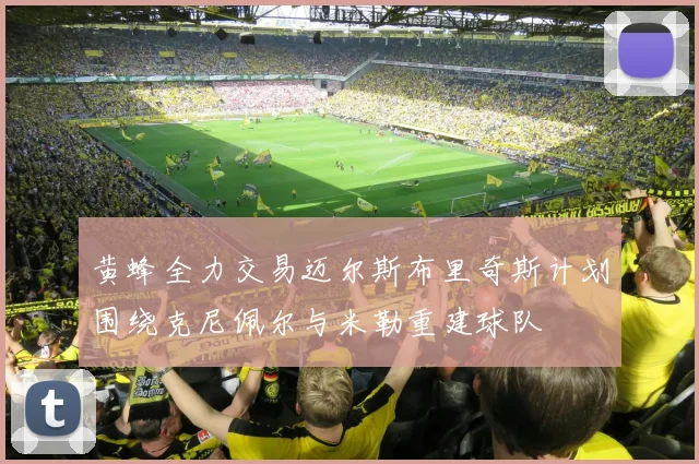 黄蜂全力交易迈尔斯布里奇斯计划围绕克尼佩尔与米勒重建球队