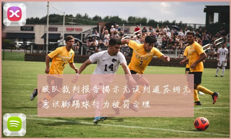狼队裁判报告揭示无误判道苏姆无意识脚踢球行为被罚合理